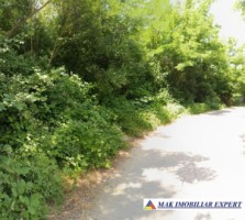 vand-teren-1400-mp-intravilan-stalpeni-arges-6