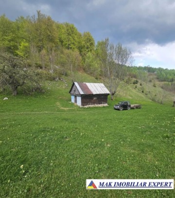 teren-125-ha-de-vanzare-in-ciocanu-dambovicioara-arges-2