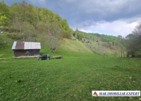 teren-125-ha-de-vanzare-in-ciocanu-dambovicioara-arges-3