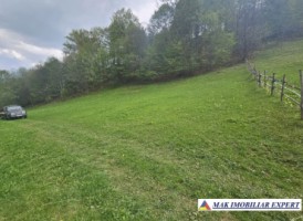 teren-125-ha-de-vanzare-in-ciocanu-dambovicioara-arges-6