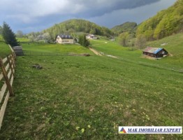 teren-125-ha-de-vanzare-in-ciocanu-dambovicioara-arges-5