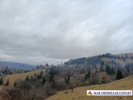 teren-6500-mp-intravilan-in-valea-cheii-dambovicioara-arges-4