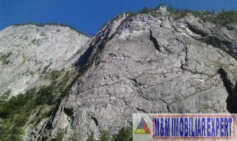 teren-6500-mp-intravilan-in-valea-cheii-dambovicioara-arges-16