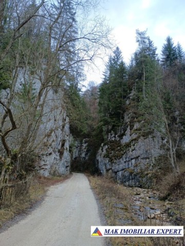 teren-6500-mp-intravilan-in-valea-cheii-dambovicioara-arges-18