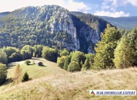 teren-320-ha-extravilan-de-vanzare-in-dambovicioara-arges-1