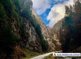 teren-320-ha-extravilan-de-vanzare-in-dambovicioara-arges-2