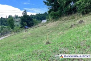 teren-de-vanzare-2564-mp-intravilan-in-rucar-arges-4