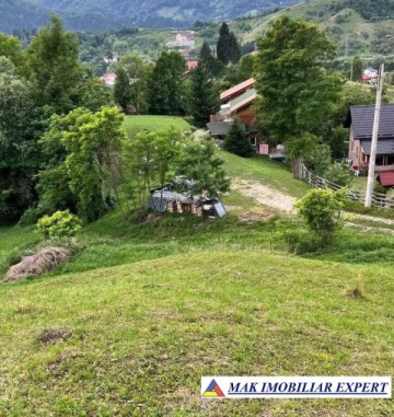 teren-de-vanzare-2564-mp-intravilan-in-rucar-arges-2