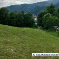 teren-de-vanzare-2564-mp-intravilan-in-rucar-arges-1