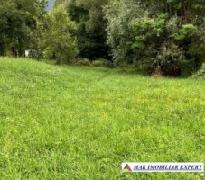 teren-de-vanzare-2564-mp-intravilan-in-rucar-arges-8