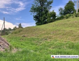 teren-de-vanzare-2564-mp-intravilan-in-rucar-arges-11