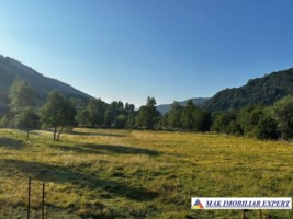 vand-teren-7040-mp-intra-extravilan-satic-rucar-arges-3