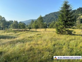 vand-teren-7040-mp-intra-extravilan-satic-rucar-arges