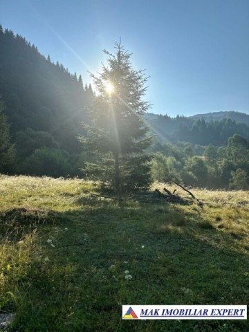 vand-teren-7040-mp-intra-extravilan-satic-rucar-arges-6