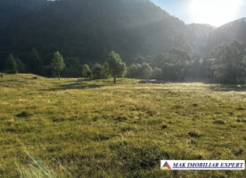 teren-8293-mp-intra-extravilan-in-satic-rucar-arges