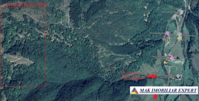 vand-padure-5-ha-satic-rucar-arges