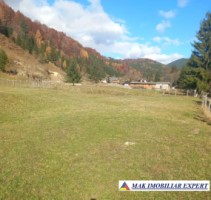 teren-4870-mp-intravilan-rausor-pietrele-albe-rucar-arges