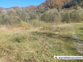 teren-893-mp-intravilan-de-vanzare-satic-rucar-arges