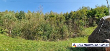 teren-1-ha-extravilan-faneata-de-vanzare-in-rucar-arges