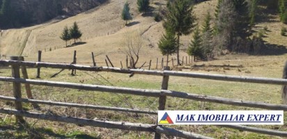 teren-extravilan-6000-mp-de-vanzare-rucar-rausor-arges-3