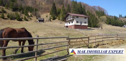 teren-extravilan-6000-mp-de-vanzare-rucar-rausor-arges-2