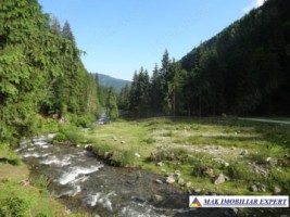 teren-montan-1055-mp-cabana-voina-leresti-arges