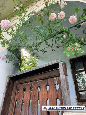 casa-3-camere-teren-3000-mp-valea-mare-pravat-arges-4