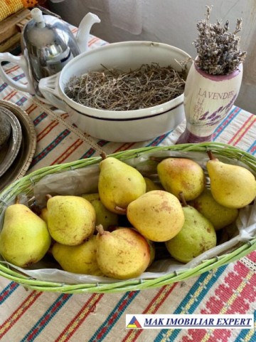 casa-3-camere-teren-3000-mp-valea-mare-pravat-arges-15