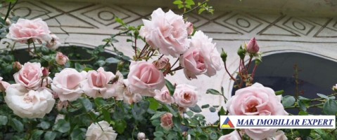 casa-3-camere-teren-3000-mp-valea-mare-pravat-arges-17