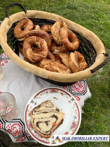 casa-3-camere-teren-3000-mp-valea-mare-pravat-arges-16