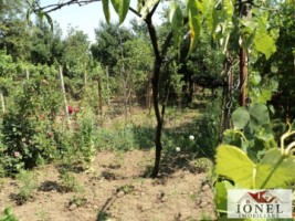 casa-in-alba-iulia-vanzare-sau-schimb-5