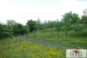 casa-de-vanzare-cu-47880-mp-teren-in-vintu-de-jos-mereteu-4