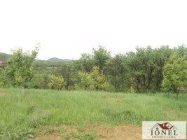 casa-de-vanzare-cu-47880-mp-teren-in-vintu-de-jos-mereteu-12