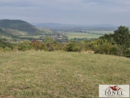 casa-de-vanzare-cu-47880-mp-teren-in-vintu-de-jos-mereteu-2