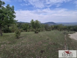 casa-de-vanzare-cu-47880-mp-teren-in-vintu-de-jos-mereteu-14