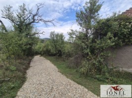 casa-de-vanzare-cu-47880-mp-teren-in-vintu-de-jos-mereteu-13