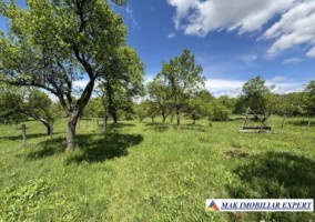 teren-intravilan-de-4559-mp-de-vanzare-corbi-arges