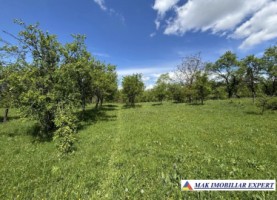 teren-intravilan-de-4559-mp-de-vanzare-corbi-arges-1