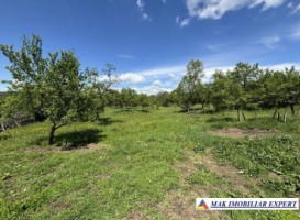 teren-intravilan-de-4559-mp-de-vanzare-corbi-arges-2