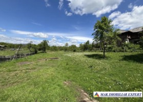 teren-intravilan-de-4559-mp-de-vanzare-corbi-arges-3