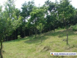 1086-mp-teren-intravilan-apa-sarata-campulung-muscel-arges