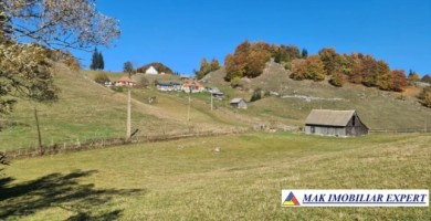 cabana-lemn-7-cam-teren-2000-mp-ciocanu-dambovicioara-arges-10