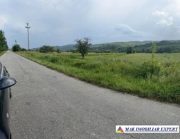 teren-4000-mp-intra-extravilan-capul-piscului-godeni-arges-1