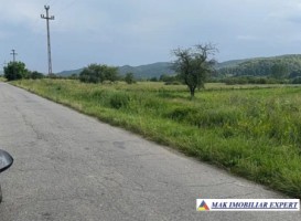 teren-4000-mp-intra-extravilan-capul-piscului-godeni-arges