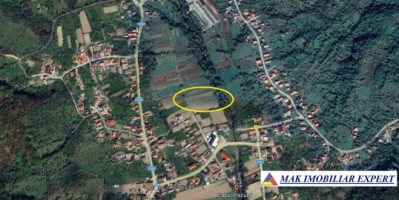 teren-4000-mp-intra-extravilan-capul-piscului-godeni-arges-3