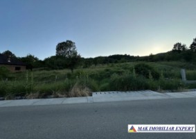 teren-2800-mp-intraextravilan-valea-bradului-mihaesti-arges-3