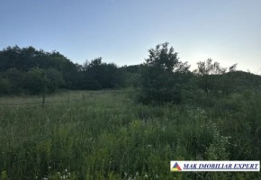 teren-2800-mp-intraextravilan-valea-bradului-mihaesti-arges