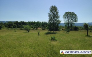 vand-teren-1357-mp-extravilan-pietrosani-domnesti-arges-2