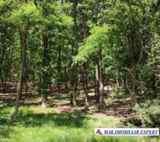 vand-teren-1357-mp-extravilan-pietrosani-domnesti-arges-3