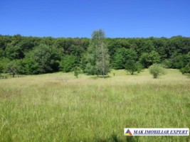 vand-teren-1357-mp-extravilan-pietrosani-domnesti-arges